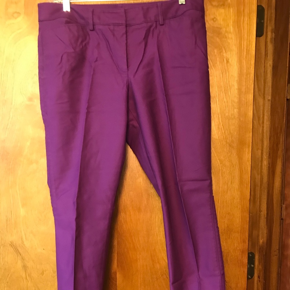 WHBM Purple Pants